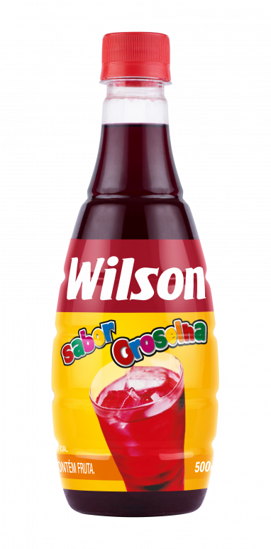 Xarope Artificial de Groselha Wilson — Pet 500 ml